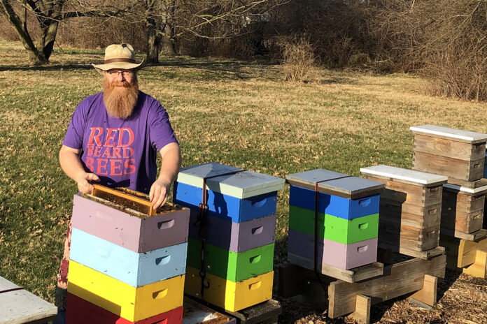 Beekeeper Dave Noble Beekeeper Dave Noble
