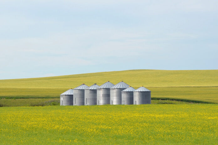 grain silos grain silos