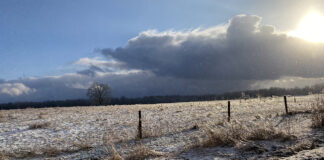 winter