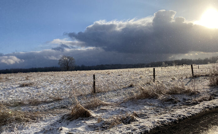 winter winter