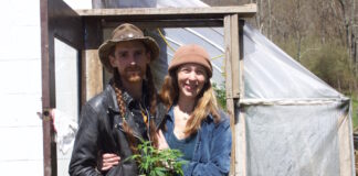 A man and a woman stand in front of a greenhouse with a hemp plant.