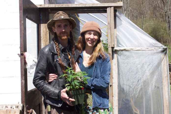 next_7_1 A man and a woman stand in front of a greenhouse with a hemp plant.