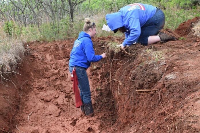 land judging