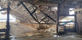 A barn with a collapsed roof.