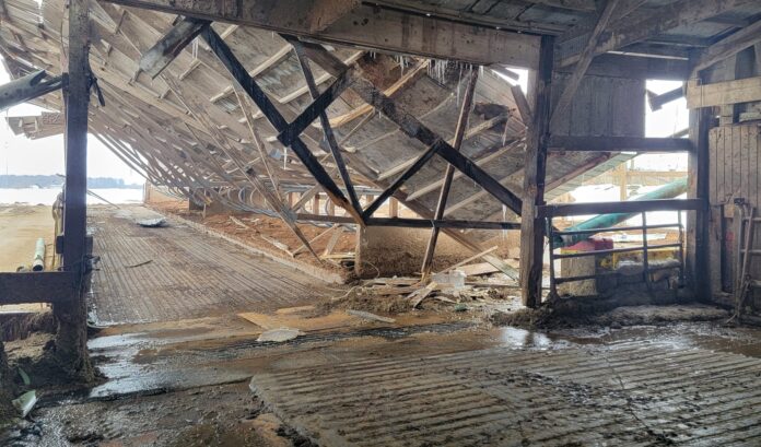 montgomery_dairy_benefit_5 A barn with a collapsed roof.
