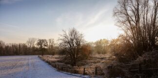 snow