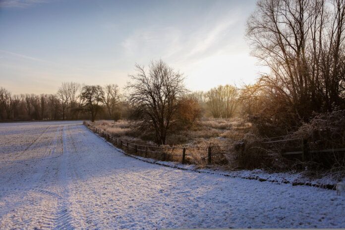 snow snow