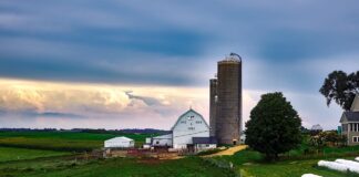 Wisconsin dairy farm