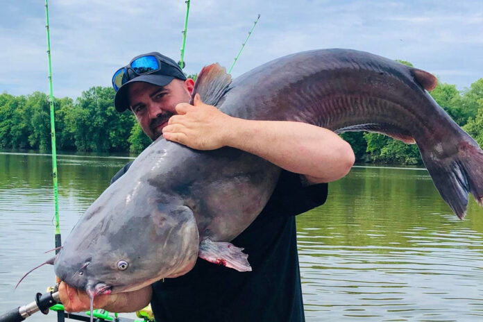 West Virginia record catfish West Virginia record catfish
