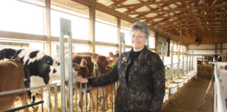 Dianne Shoemaker