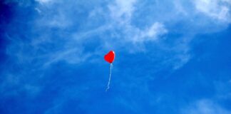 heart