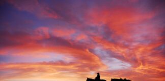 sunset, cowboy