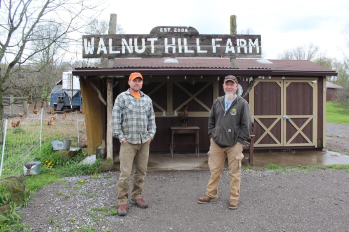 walnut-hill copy