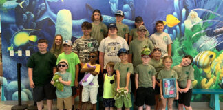 Hicks and Hayseeds 4-H