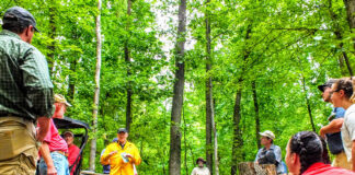 European ecological forestry