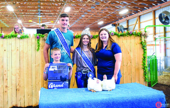 Grand Champion Chickens