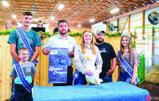 Grand Champion Market Ducks