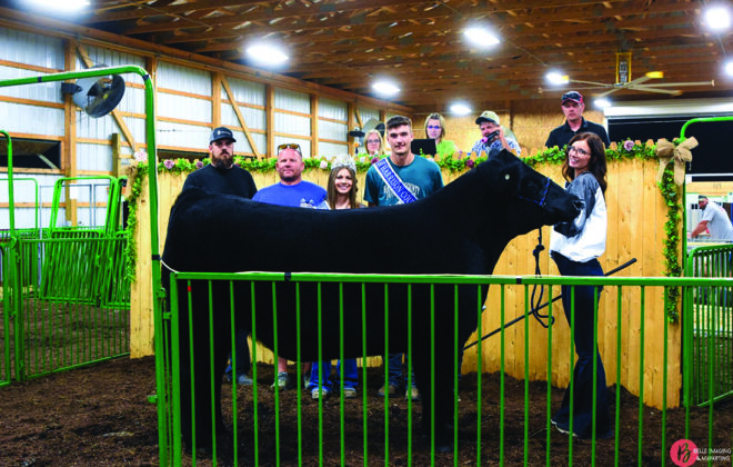 Grand Champion Steer