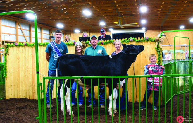 Reserve Champion Dairy Beef Feeder
