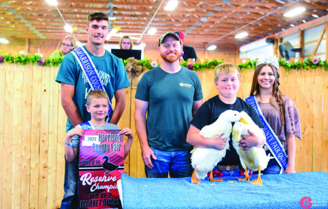 Reserve Champion Ducks