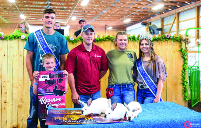 Reserve Champion Rabbits