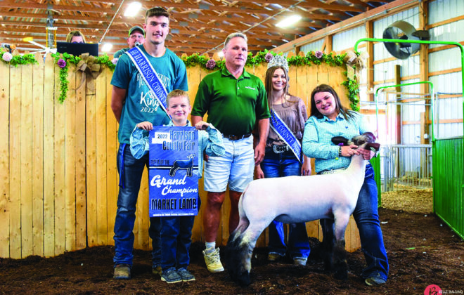 Grand Champion Lamb