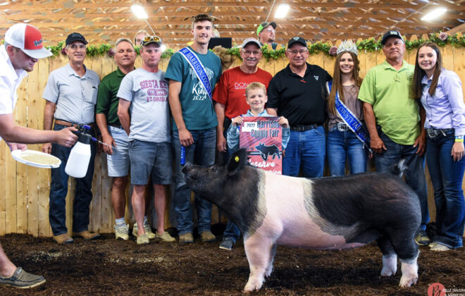 Reserve Champion Hog