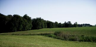 Ohio field
