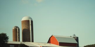 red and white building near green trees during daytime