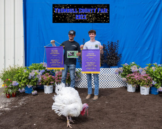 Grand Champion Turkey