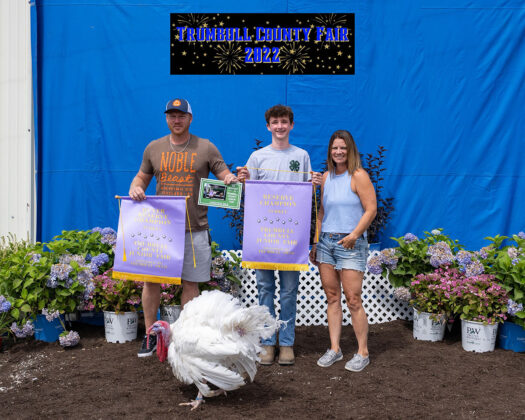 Reserve Champion Turkey