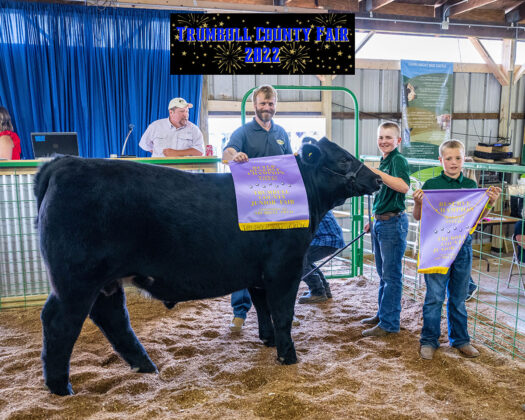 Reserve Champion Beef Steer