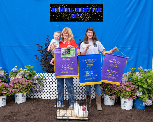 Grand Champion Chickens