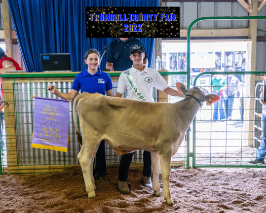Reserve Champion Dairy Beef Feeder