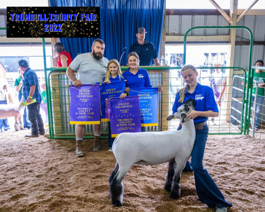 Grand Champion Lamb