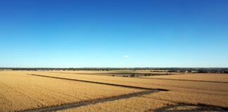 crop fields