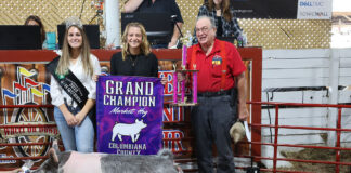 Grand Champion Market Hog