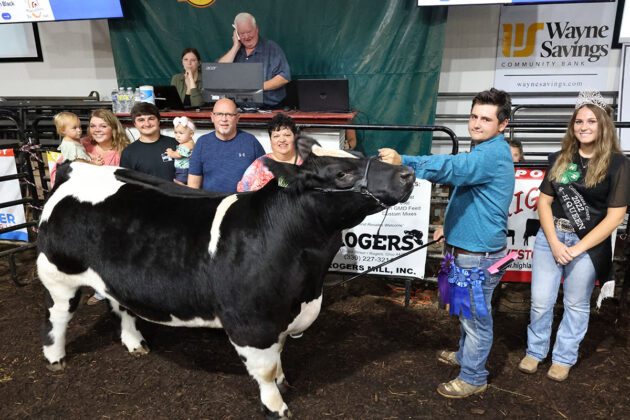 Grand Champion Steer