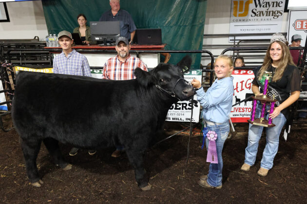 Reserve Champion Market Steer