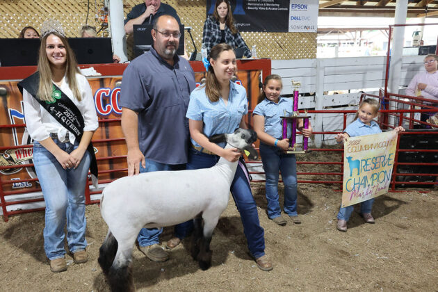 Reserve Champion Lamb