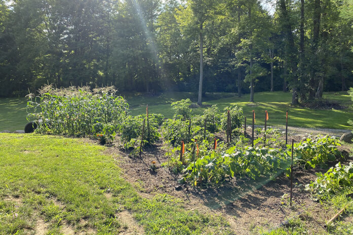 garden garden