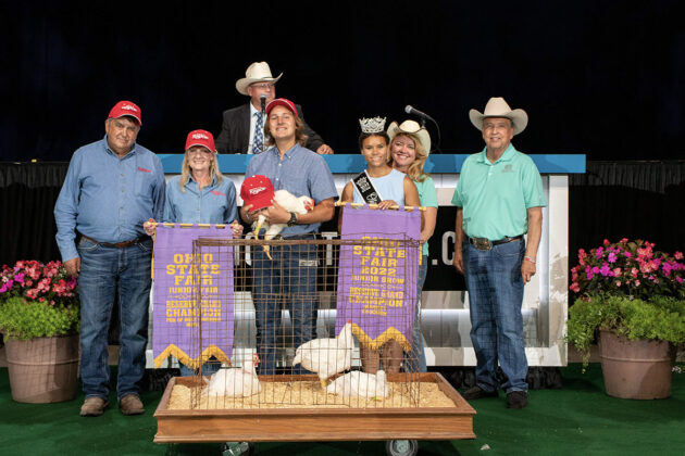 Reserve Grand Champion Market Chickens