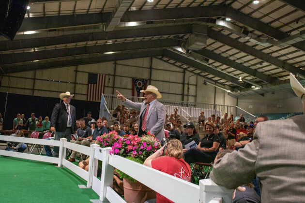 Ohio State Fair Sale of Champions