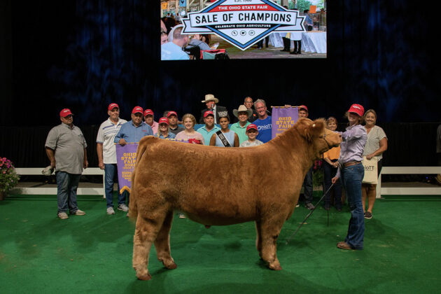 Reserve Grand Champion Market Beef Steer