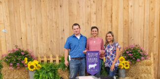 Grand Champion Hog