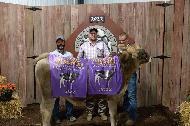 Grand Champion Beef Feeder