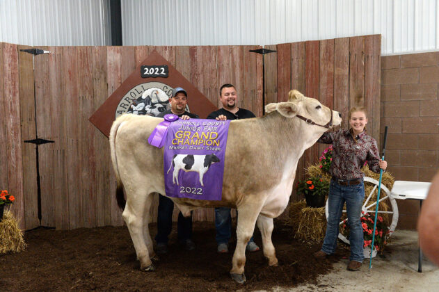 Grand Champion Dairy Steer
