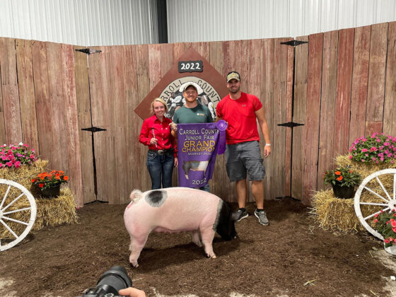 Grand Champion Hog