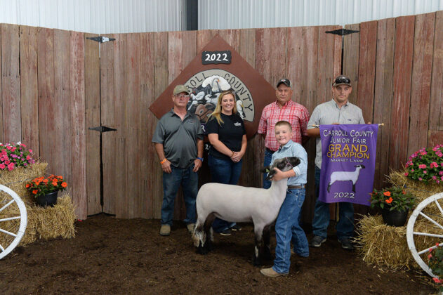 Grand Champion Lamb