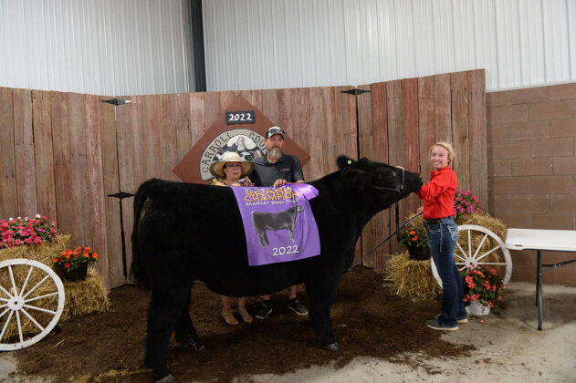 Grand Champion Market Steer